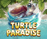 Turtle Paradise